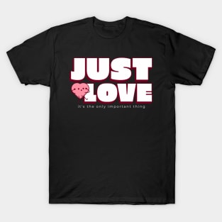 Just love it's the only important thing T-Shirt